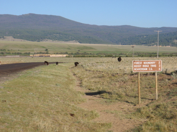 Divide Creek Rd, facing west.